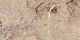 Керамогранит Laparet Brecia Antic Brown 60x120 полированный