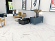 Керамогранит Гранитея G281-Payer Elegant MR 60x60