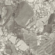 Керамогранит Forte dei Marmi Ceppo Apuano Pearl 80x80 лаппатированный